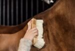 Щітка змахувалка для догляду за конем Middle Soft від Kentucky - Зображення 3