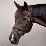 Вуздечка плетена з комбінованим капсюлем Plaited Flash Noseband NE від Dyon - Зображення 4