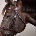 Вуздечка плетена з комбінованим капсюлем Plaited Flash Noseband NE від Dyon - Зображення 5