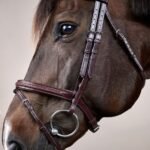 Вуздечка плетена з комбінованим капсюлем Plaited Flash Noseband NE від Dyon - Зображення 2