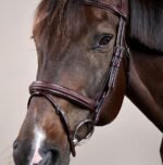 Вуздечка плетена з комбінованим капсюлем Plaited Flash Noseband NE від Dyon - Зображення 3