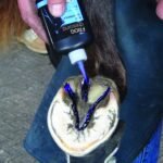 Засіб по догляду за стрілкою та копитом Blue frog dressing від Diamond, 118 мл - Зображення 2