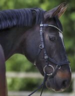 Трензель-штанга, товщина 16 мм від Sprenger - Зображення 2