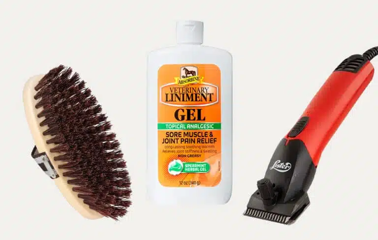 Догляд за конем